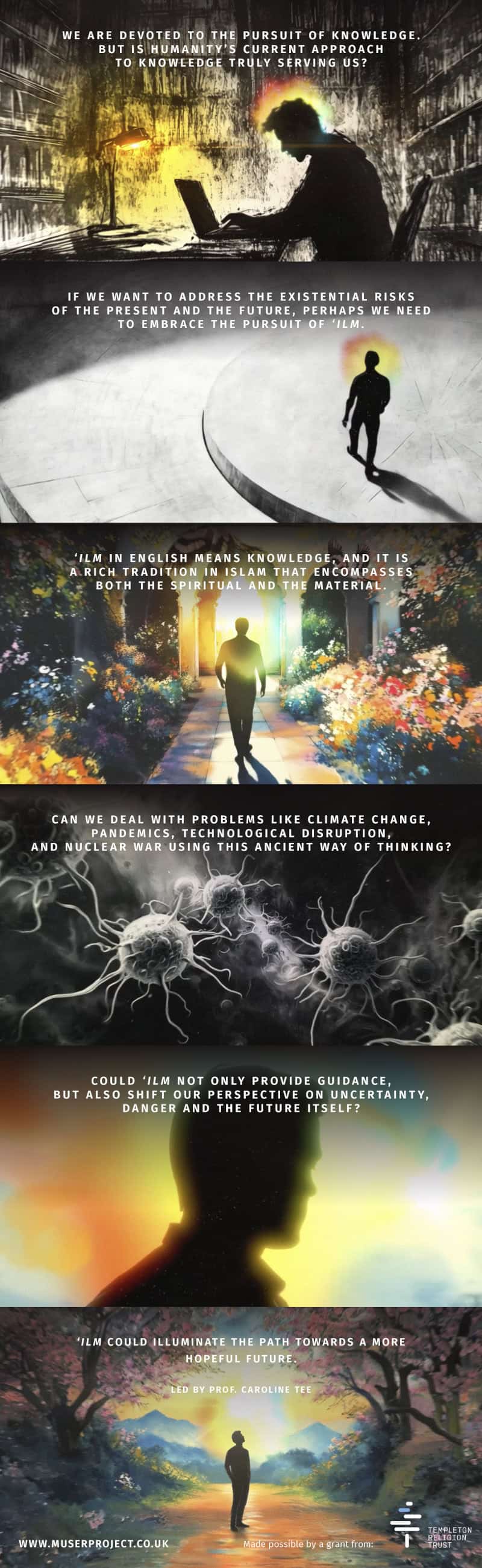 Caroline Tee infographic